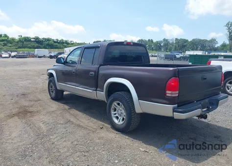 2004 Dodge Dakota Slt from USA, damaged, VIN 1D7HG48NX4S649522